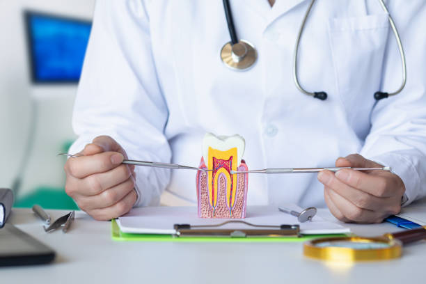 Best Pediatric Emergency Dentist in Decherd, TN